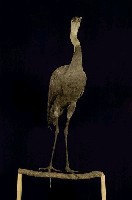 白頭鶴藏品圖，第4張